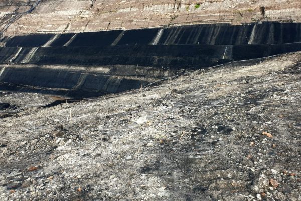 tambang-batu-bara (3)